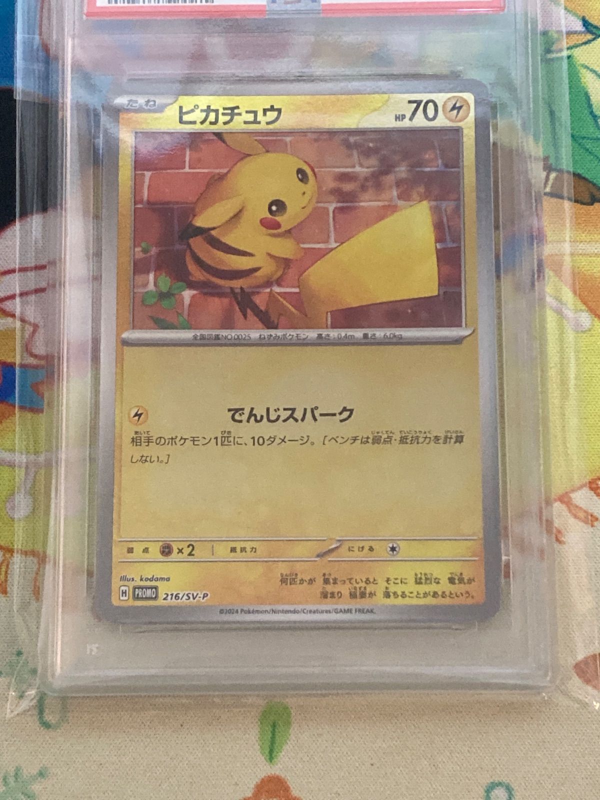 PSA10】ピカチュウ 216/SV-P 夏がキタプロモ 【ポケカ】 - メルカリ