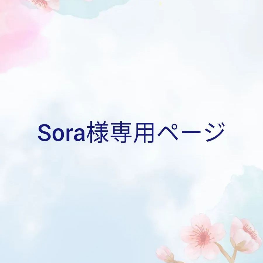 Sora様専用ページ - メルカリ Sora様専用ページ - メルカリ