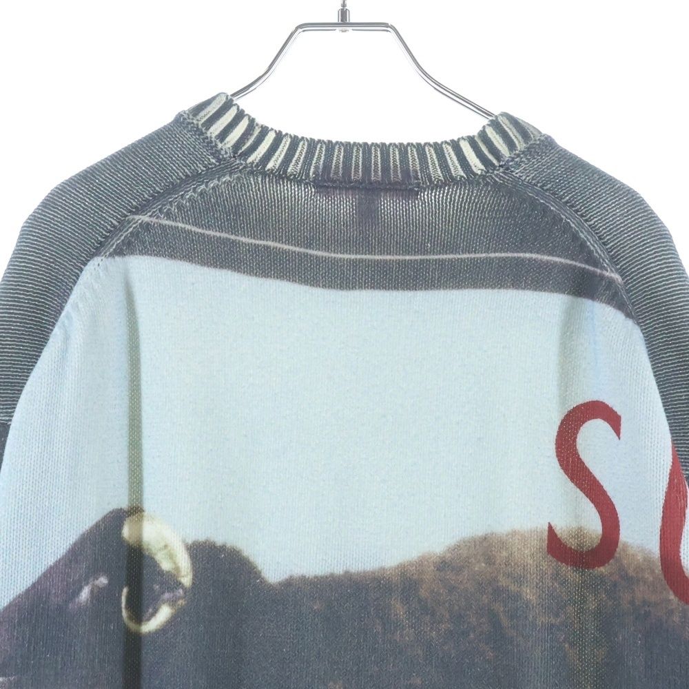 SUPREME (シュプリーム) 25SS Damien Hirst Sweater Black ダミアン