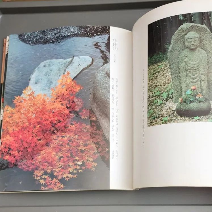 花の本まとめて 川瀬敏郎 白洲正子 生花 茶花 花と器 | 白洲 正子 |本 | 通販 | Amazon