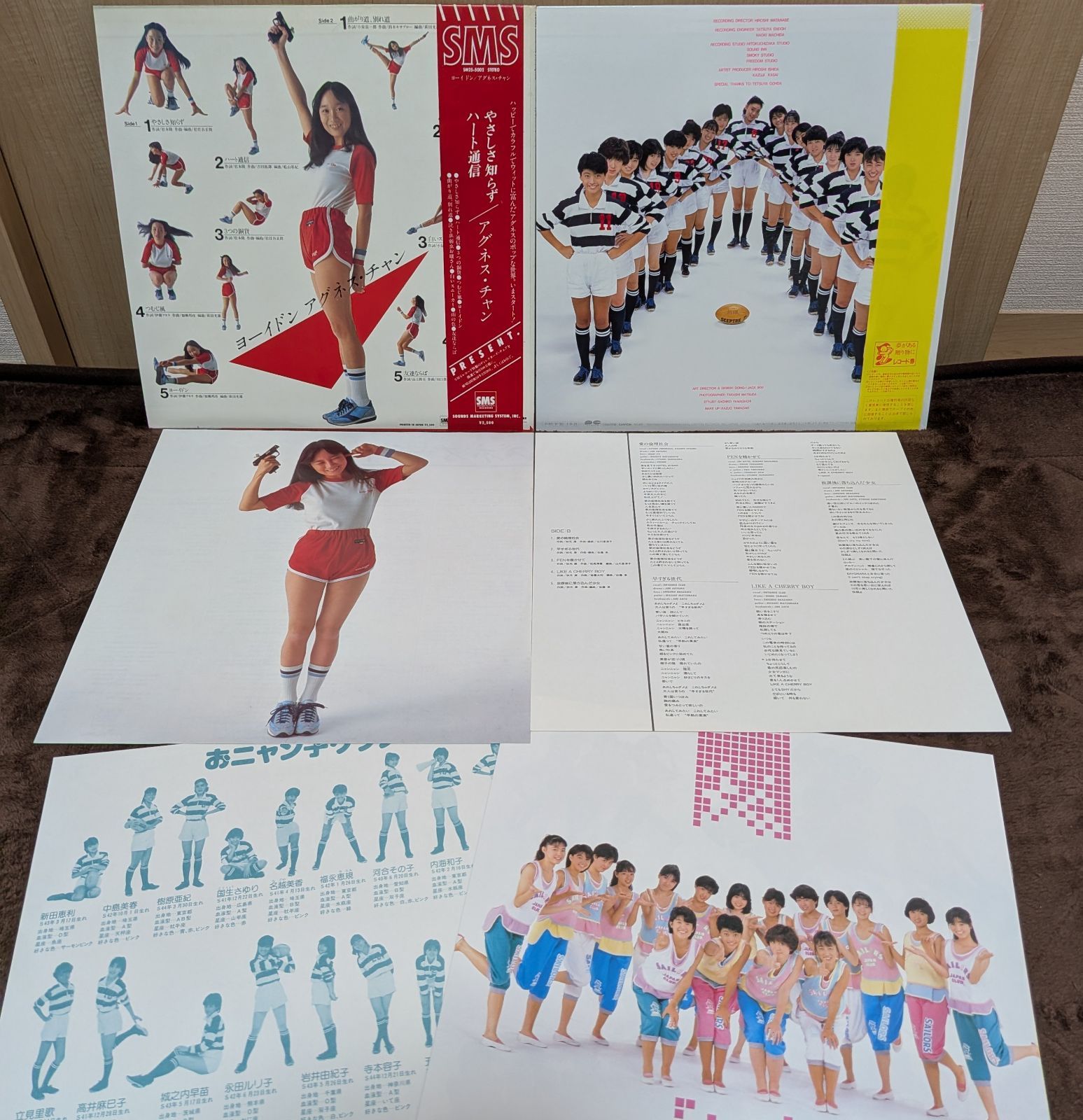 邦楽女性アイドルLPレコード10枚セット／中森明菜、浅香唯、荻野目洋子 