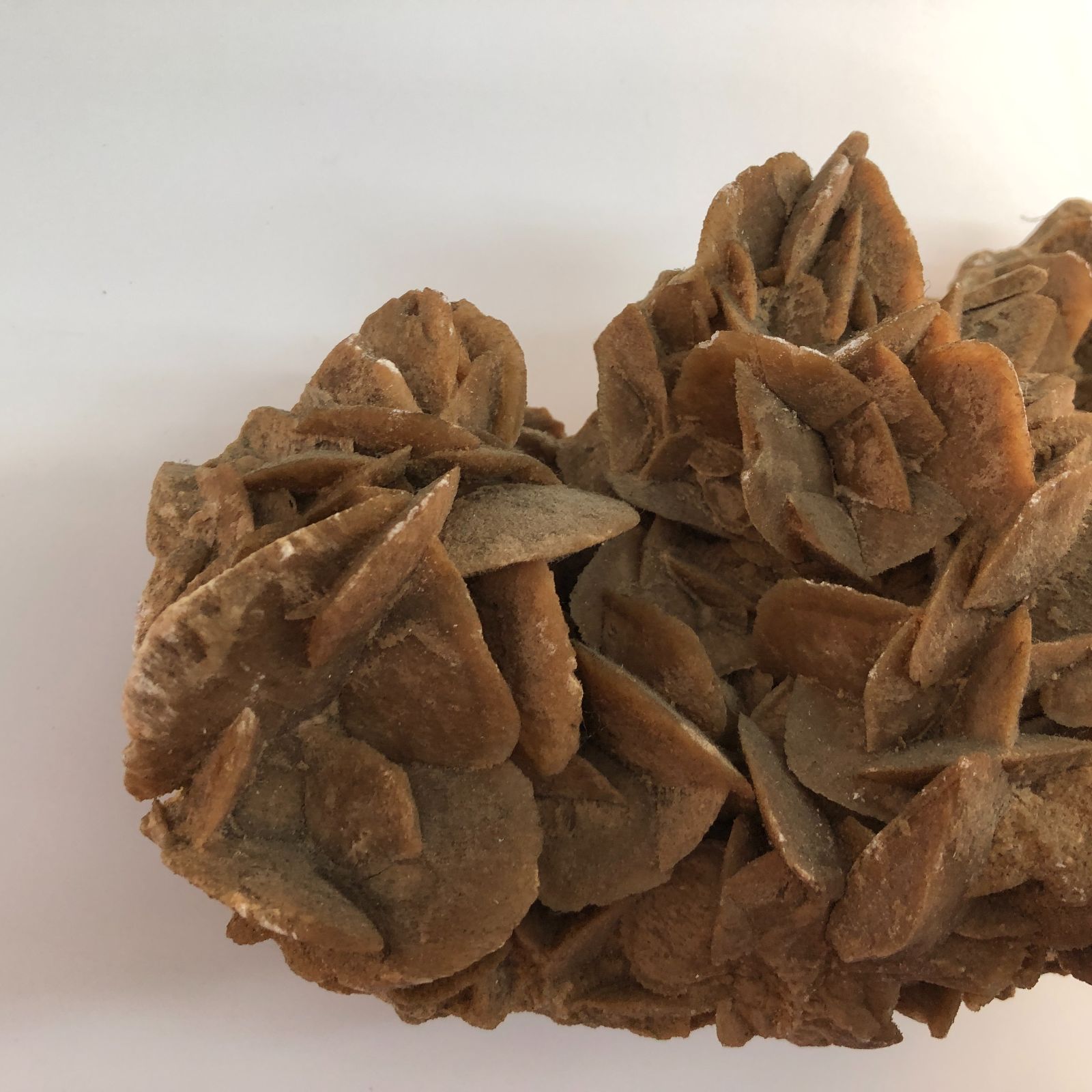 アルジェリア産 デザートローズ 砂漠の薔薇 鑑賞石 天然石 原石 鉱物