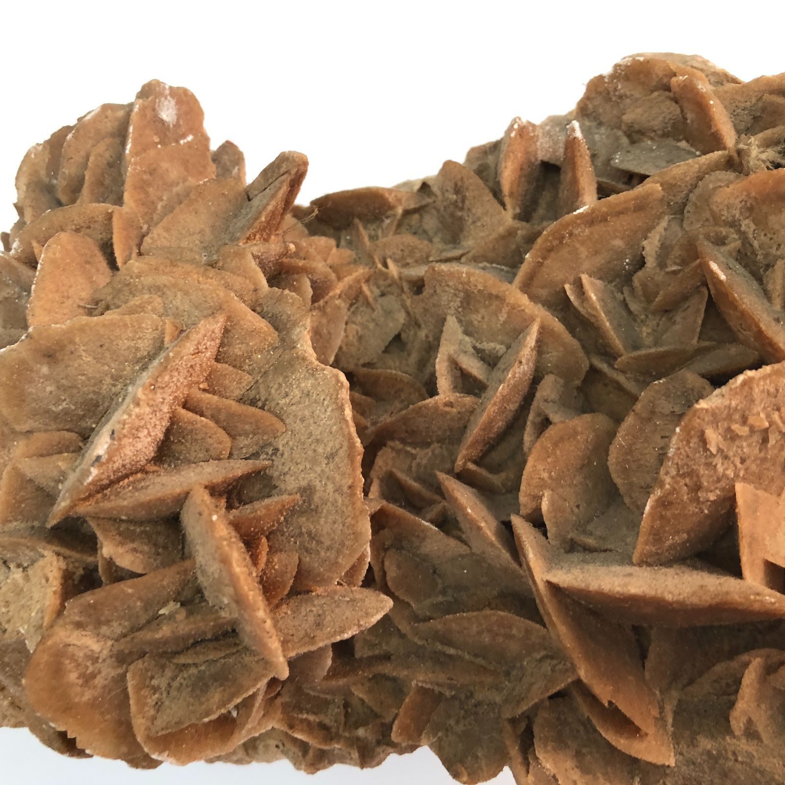 アルジェリア産 デザートローズ 砂漠の薔薇 鑑賞石 天然石 原石 鉱物