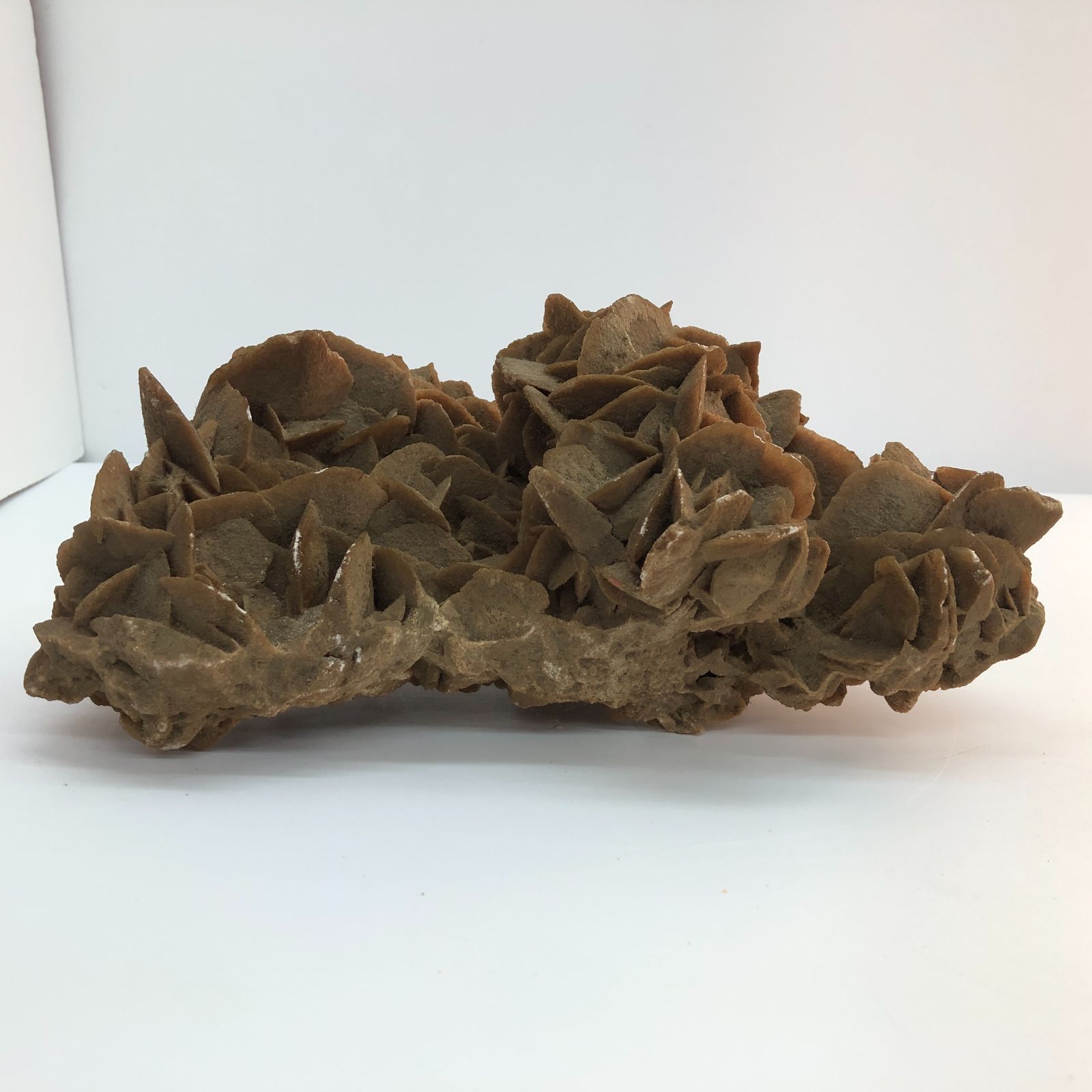 アルジェリア産 デザートローズ 砂漠の薔薇 鑑賞石 天然石 原石 鉱物