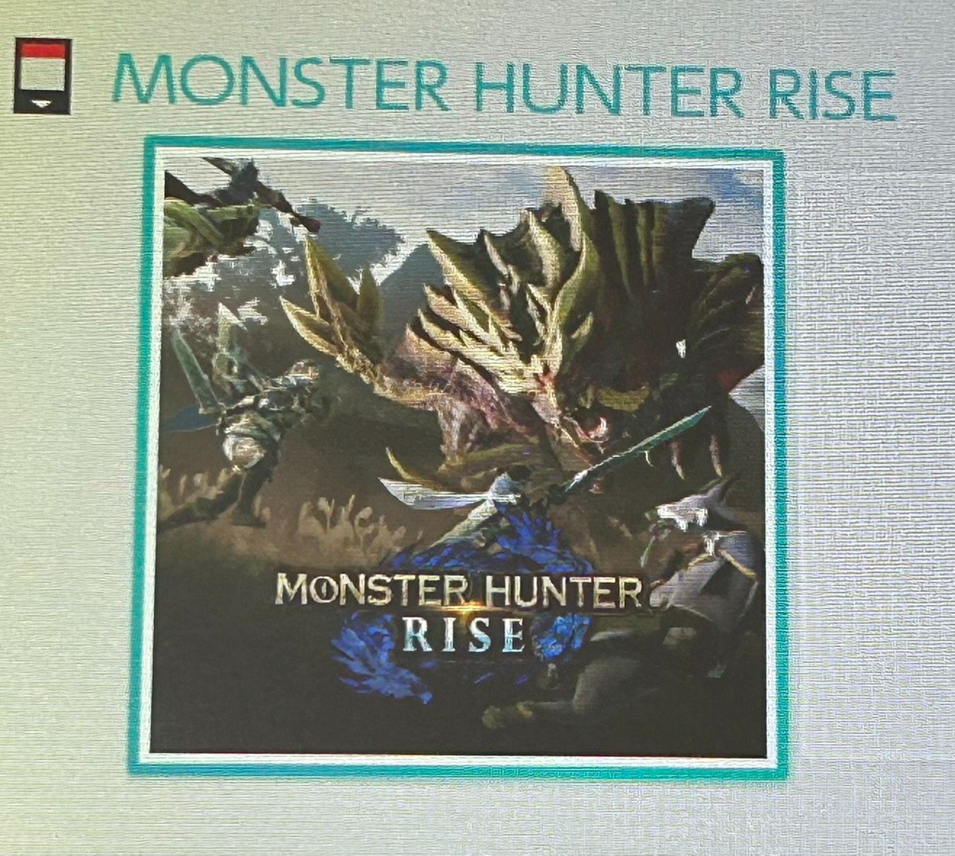 加】MONSTER HUNTER RISE 任天堂 Switch ソフト 動作確認済 Nintendo