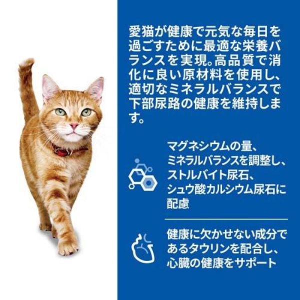 キャットフード 【訳アリ・送料無料】サイエンス・ダイエット猫用シニア7歳以上サーモンパウチ85g×21袋セット 賞味期限：2026年7月 キャットフード 猫用 ウエットフード 猫パウチ シニア猫 まとめ買い