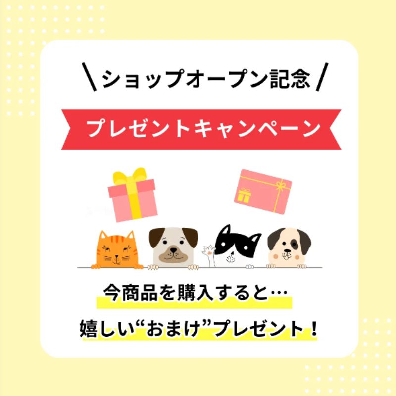 キャットフード 【訳アリ・送料無料】サイエンス・ダイエット猫用シニア7歳以上サーモンパウチ85g×21袋セット 賞味期限：2026年7月 キャットフード 猫用 ウエットフード 猫パウチ シニア猫 まとめ買い