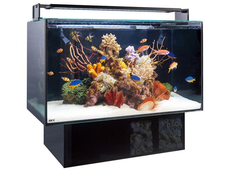 ジェックス 屋内観賞魚飼育用水槽セット グラステリア アグス OF-450 GEX
