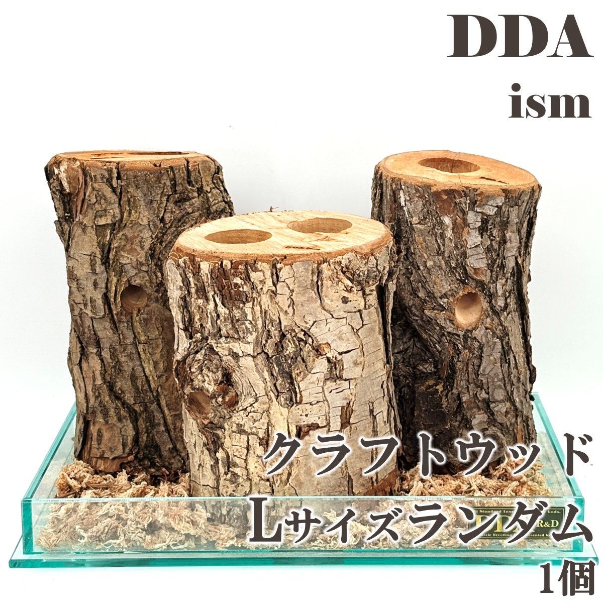 【DDA】樹液の出るクワリウム newクラフトウッド Lサイズ ランダム1個 dda クワガタ カブトムシ えさ皿 止まり木 登り木
