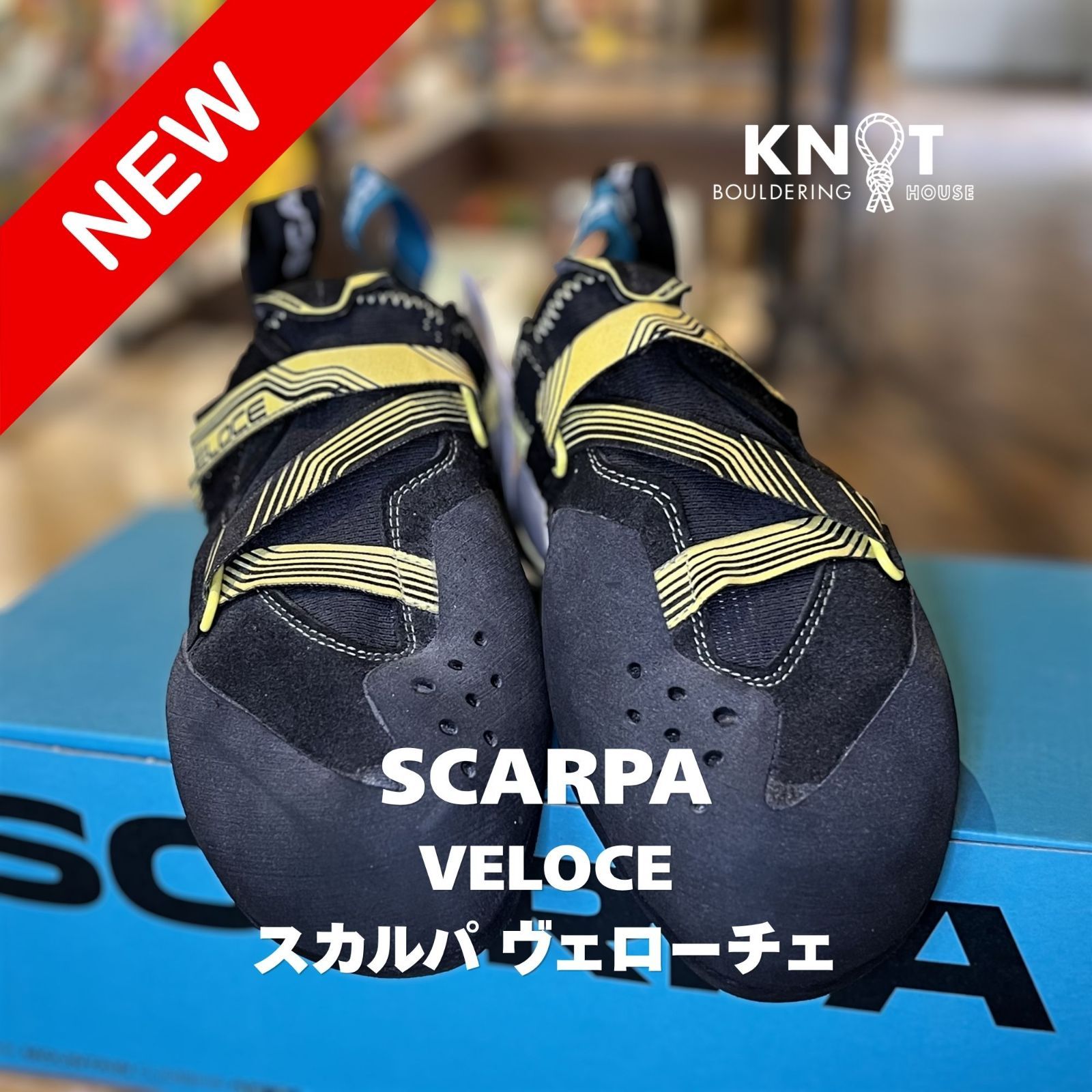 スカルパ ヴェローチェ Scarpa Veloce EU40 スカルパ ヴェローチェ WMN