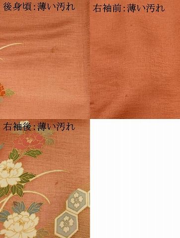 平和屋着物□訪問着 駒刺繍 花松文 暈し染め 金彩 正絹 逸品