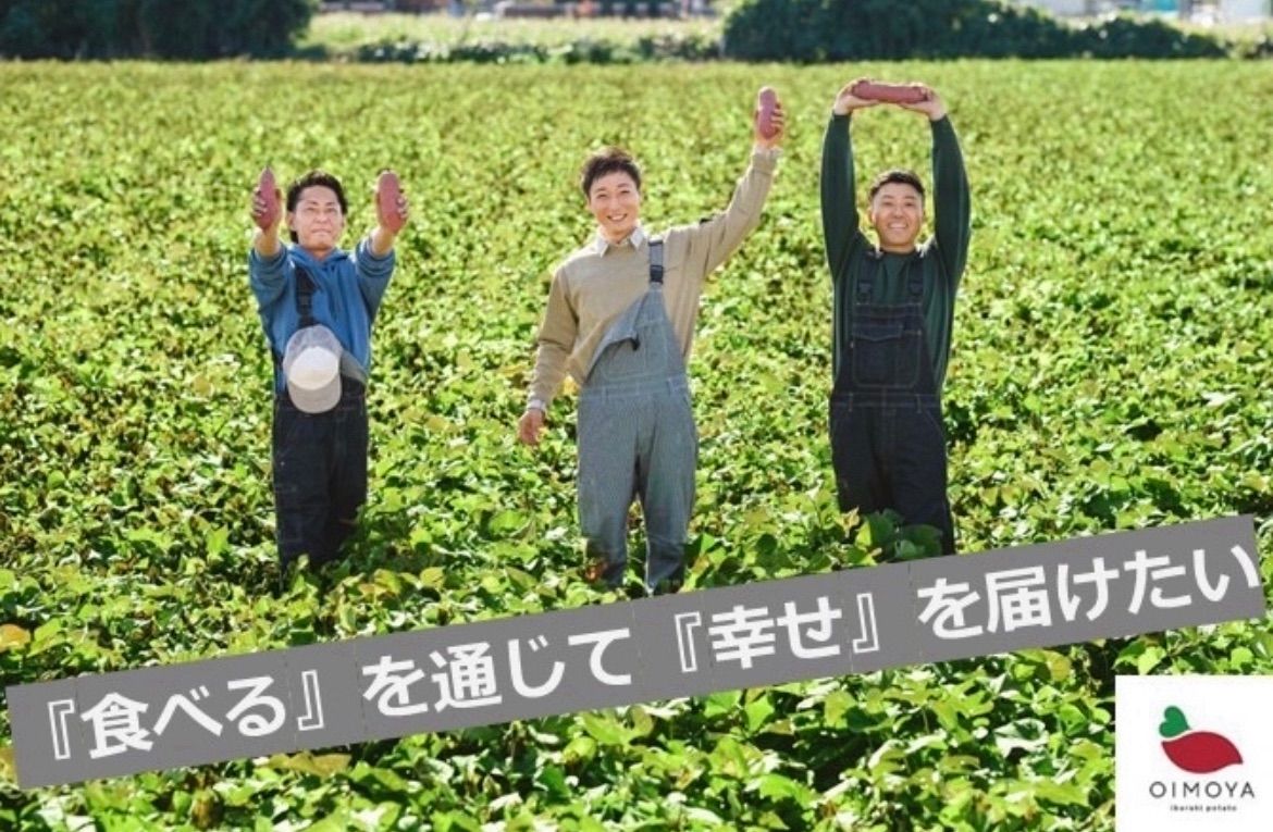 特選品】紅はるか苗☆170本 5月上旬から発送開始 - メルカリ