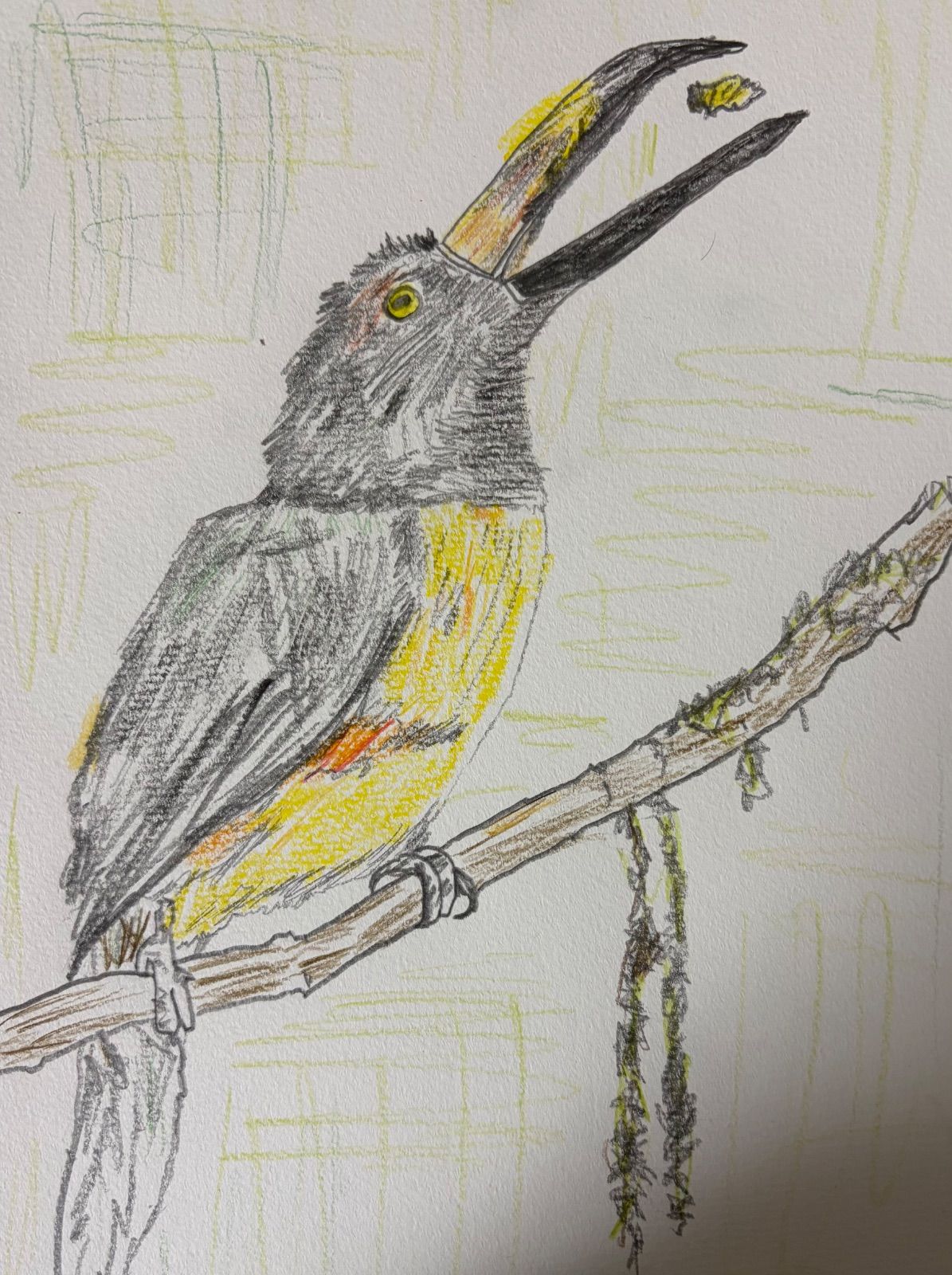 Drawing #008 – Bird
