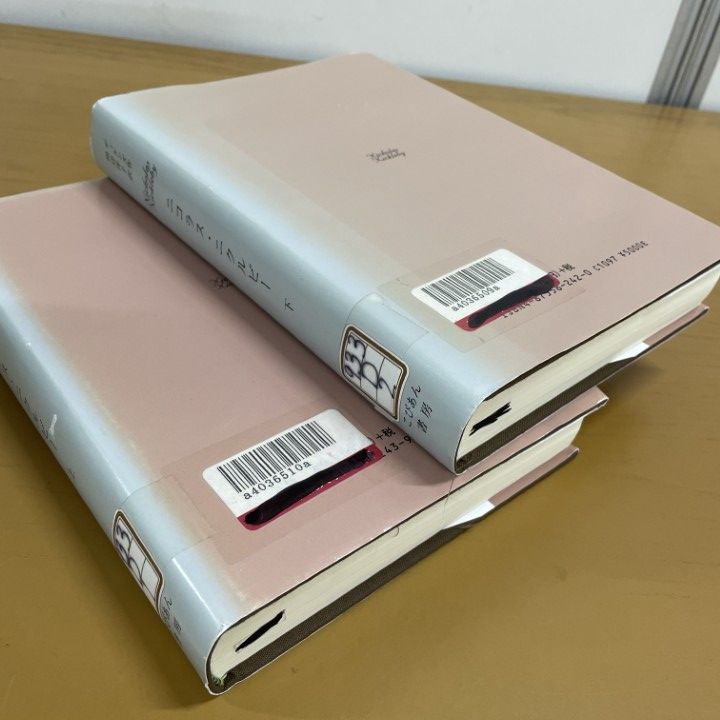 ▲01)【1点限り!】【除籍本】ニコラス・ニクルビー 上下巻/全2冊セット/チャールズディケンズ/田辺洋子/こびあん書房/平成13年/文学/小説/A △01)【1点限り!】【除籍本】ニコラス・ニクルビー 上下巻/全2冊セット