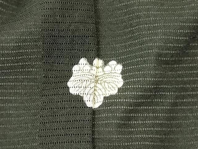 平和屋着物＊夏物　黒留袖　絽　尾長鳥　金彩　洗える着物　DABE1415op 平和屋着物＊夏物 黒留袖 絽 尾長鳥 金彩 洗える着物 DABE1415op