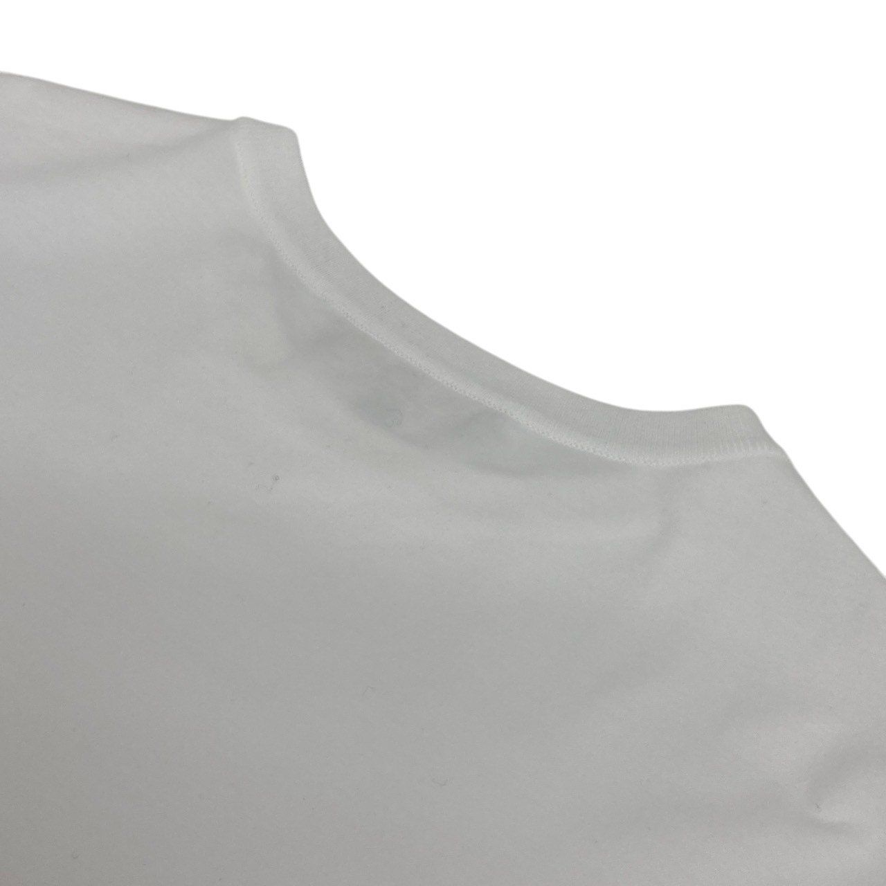 LoroPiana/ロロピアーナ/コットンTシャツ/サイズ42/ホワイト/MY-T