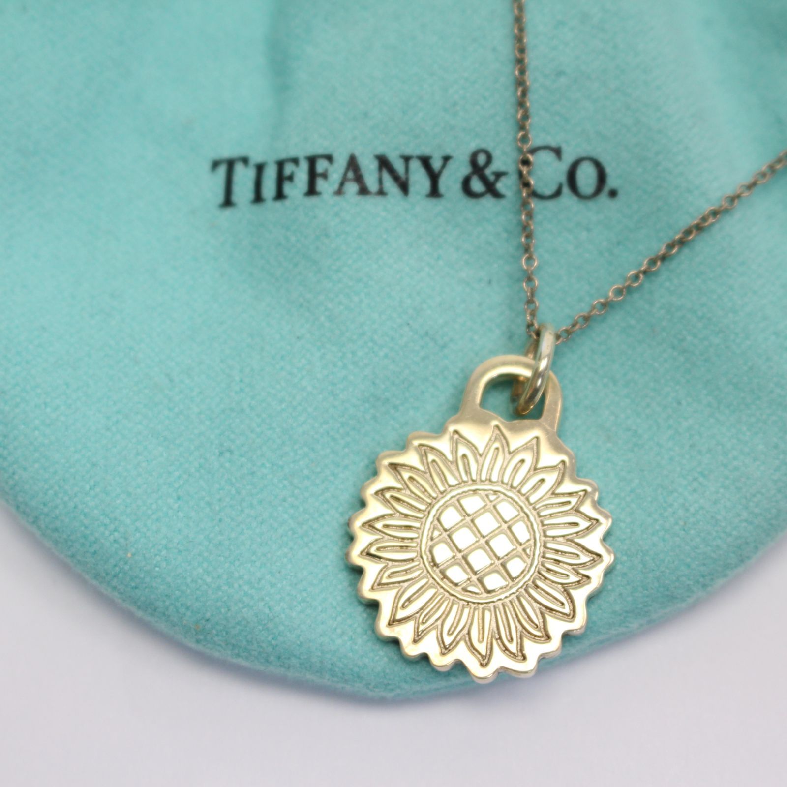 519)TIFFANY&Co. ティファニー GO WOMAN 2020 ゴーウーマン ネックレス