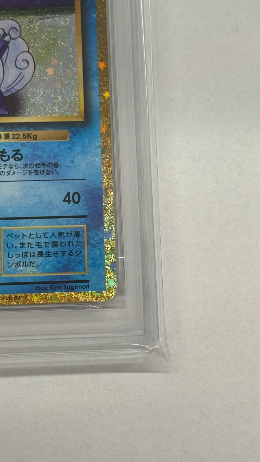 PSA10】ポケモンカード カメール プロモカード 002/032 クラシック