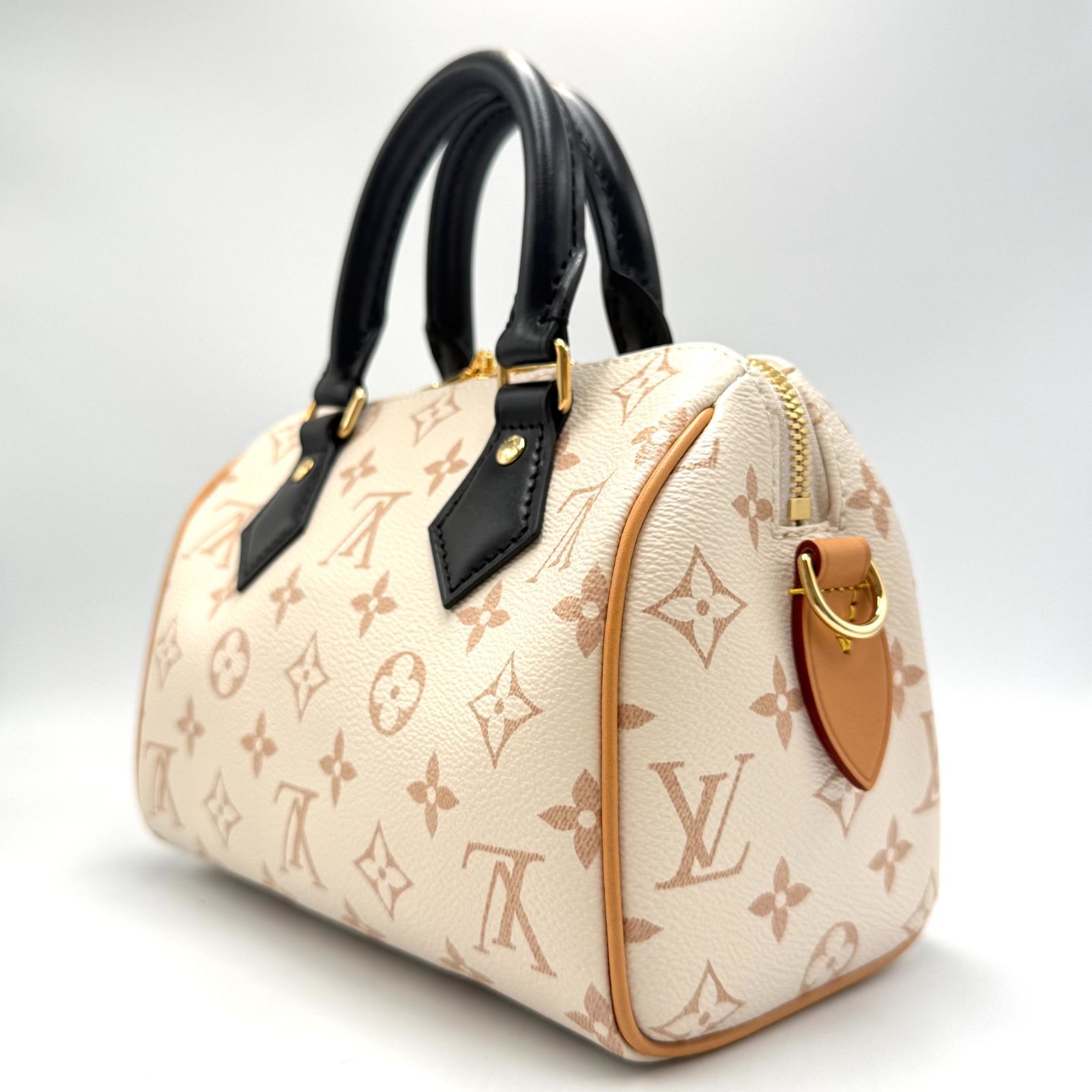 コレクション限定カラー】LOUIS VUITTON ルイヴィトン モノグラム