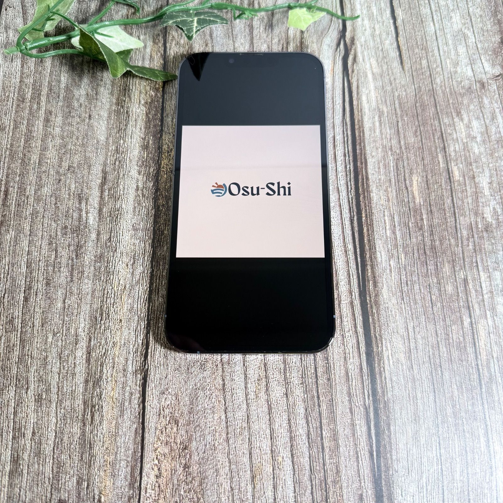 新品バッテリー100%】iPhone 13 Pro 256GB シエラブルー SIMフリー 