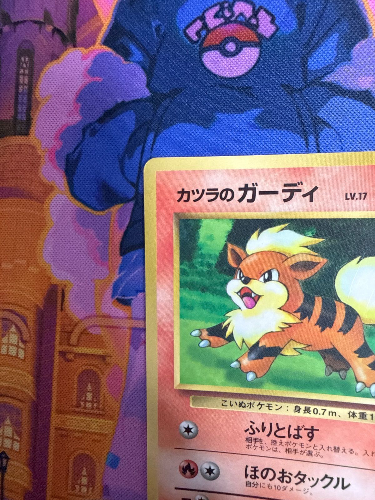 カツラのガーディ 1stPROMO 「月刊コロコロコミック99年3月号」 - メルカリ