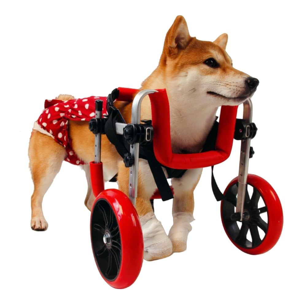 九万里の云前肢麻痺犬用車椅子ペットの前脚障害猫と犬の補助歩行スタンド軽量で静かなアルミ合金フレーム脚サポート車椅子リハビリ犬高齢障害犬四肢麻痺犬負傷した麻痺犬に適しています (赤, M)