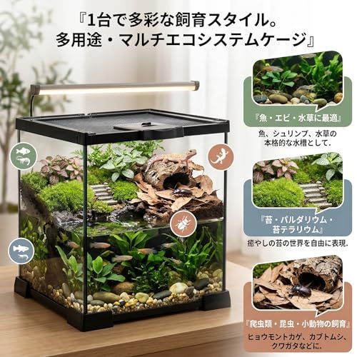 水槽　テラリウム　爬虫類　両生類 爬虫類 ケージ 爬虫類飼育 苔 テラリウム グラステラリウム 両生類