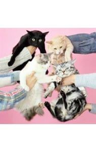 CD／きのこ帝国／猫とアレルギー - メルカリ