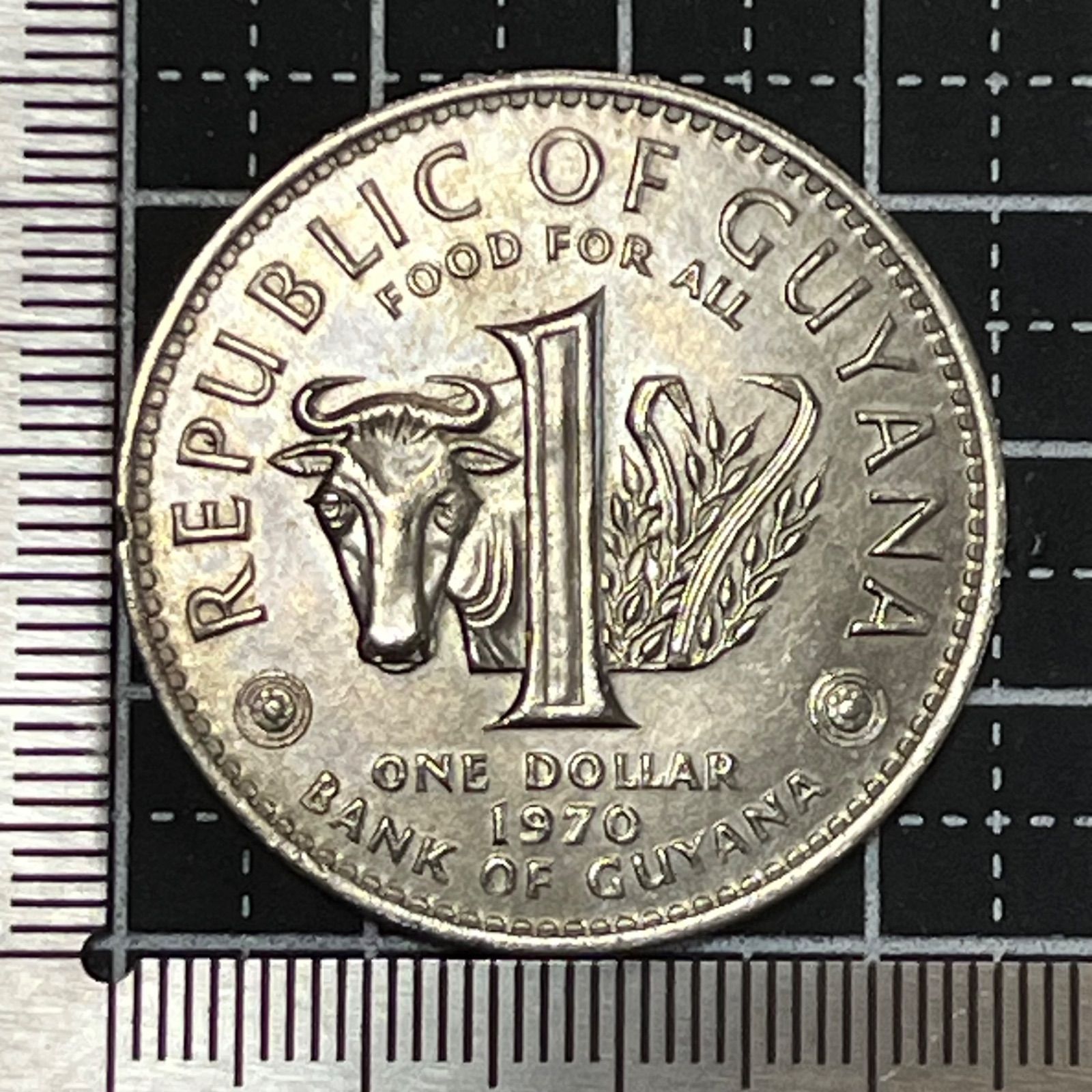 外国古銭】1970年 ガイアナ 1ドル FAO記念 大型白銅貨 牛図とカフィ像