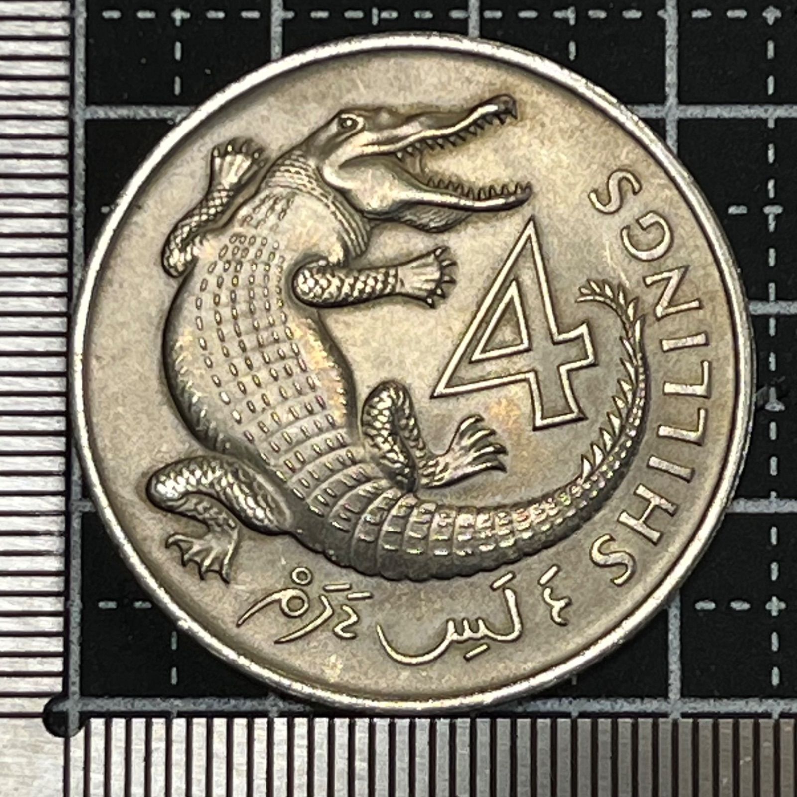 外国古銭】1966年 ガンビア 4シリング 大型白銅貨 ワニ図 エリザベス2 
