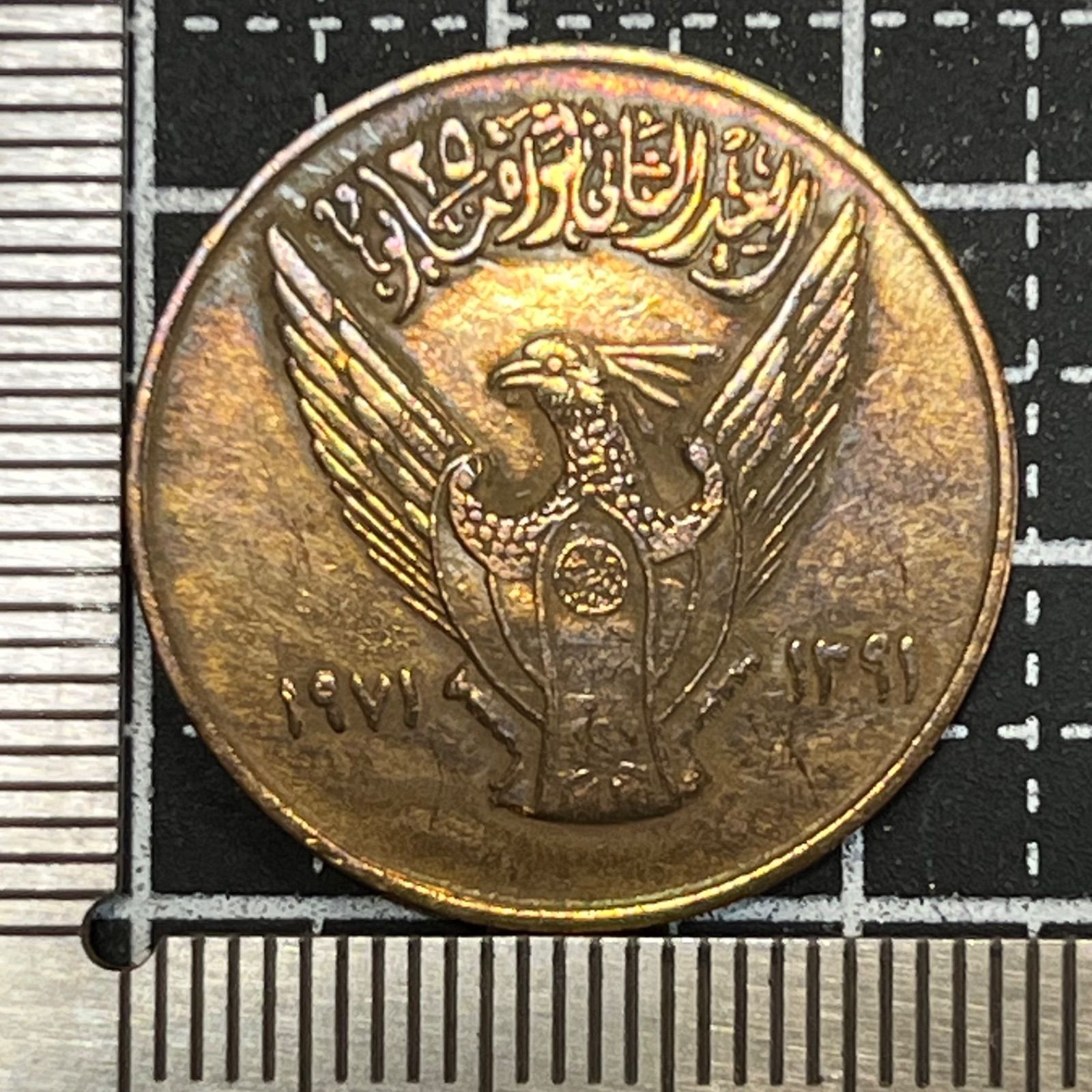 日本の天然記念物【中古品】 昭和天皇御在位60年記念 1万円銀貨 (昭和61年銘) 未使用-1746 | 収集