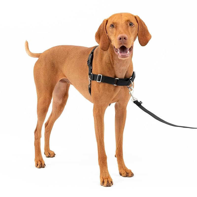PetSafe（ペットセーフ） イージーウォークハーネス 犬用 引っ張り防止 散歩 トレーニング用ハーネス【Mサイズ ブラック＆シルバー】 0