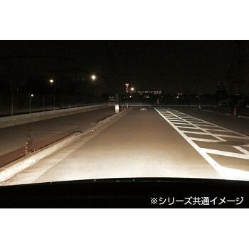 H11|H8|H16共通 ホワイト