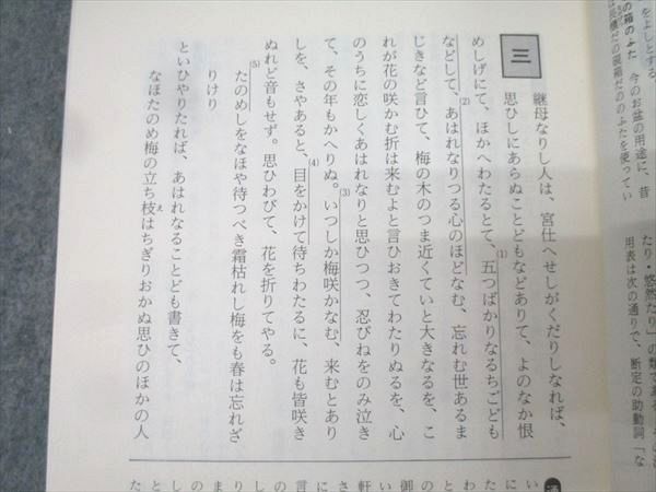 駿台文庫 駿台受験叢書 新・古文要説 II日記文学篇【書き込み無し