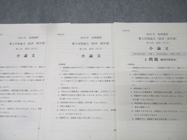 駿台 慶應義塾大学 慶大対策論文 経済・商学部/小論文のキーワード