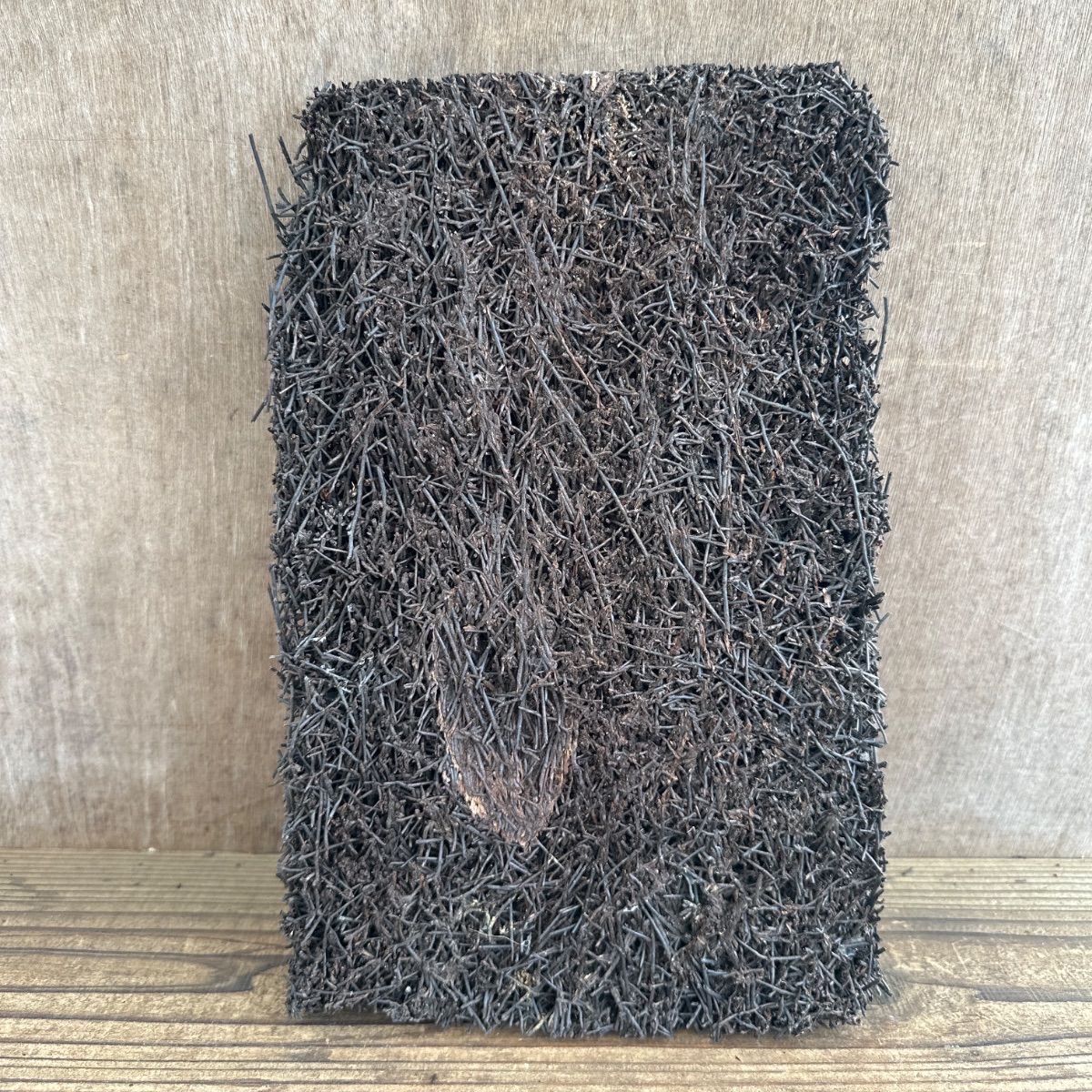 ヘゴ板 約20X30cm ③ ヘゴ 板 フェゴ 観葉植物 観葉 植物 塊根植物 
