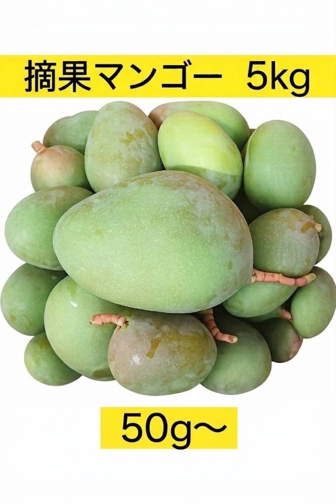 摘果マンゴー 5kg 宮古島産 予約受付中 - メルカリ