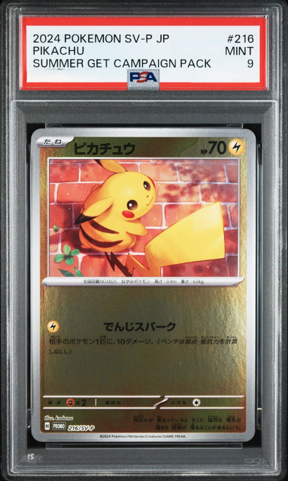 ピカチュウ 218/SV-P ポケカの夏がキタ プロモ Getキャンペーン 2枚 ピカチュウ [ポケカの夏がキタ！プロモカードGetキャンペーン！] 218 ポケモンカードゲーム