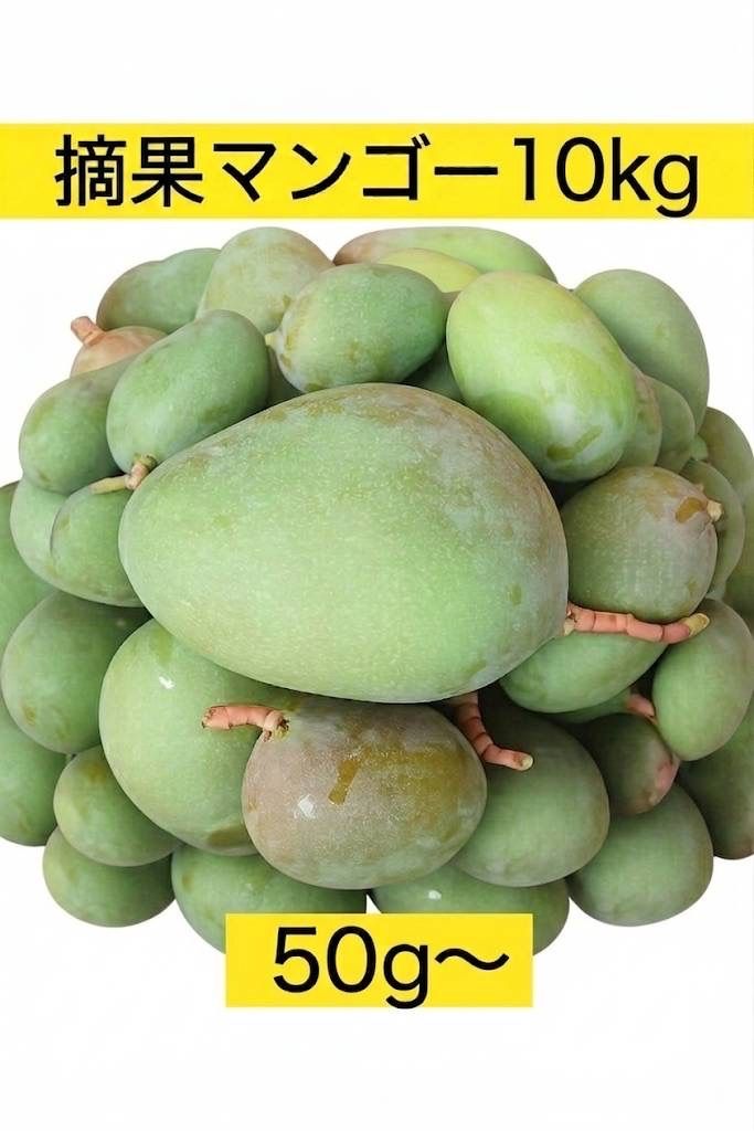 摘果マンゴー　10キロ 摘果マンゴー 10kg