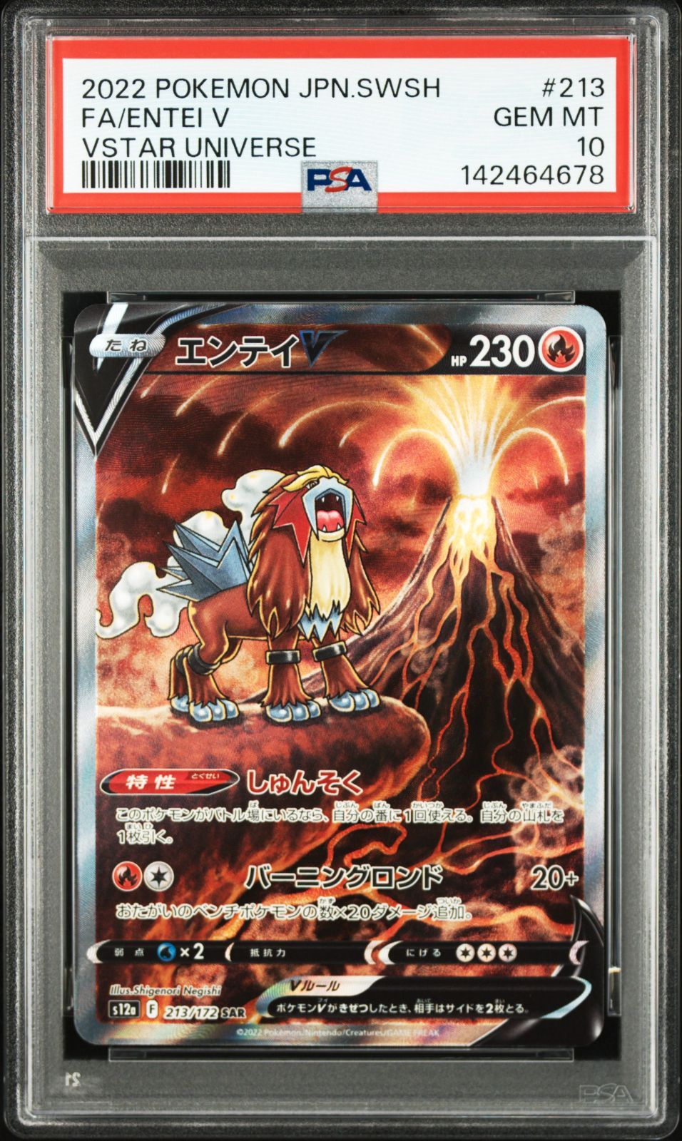 PSA10】エンテイV S12a 213/172 SAR VSTARユニバース - メルカリ