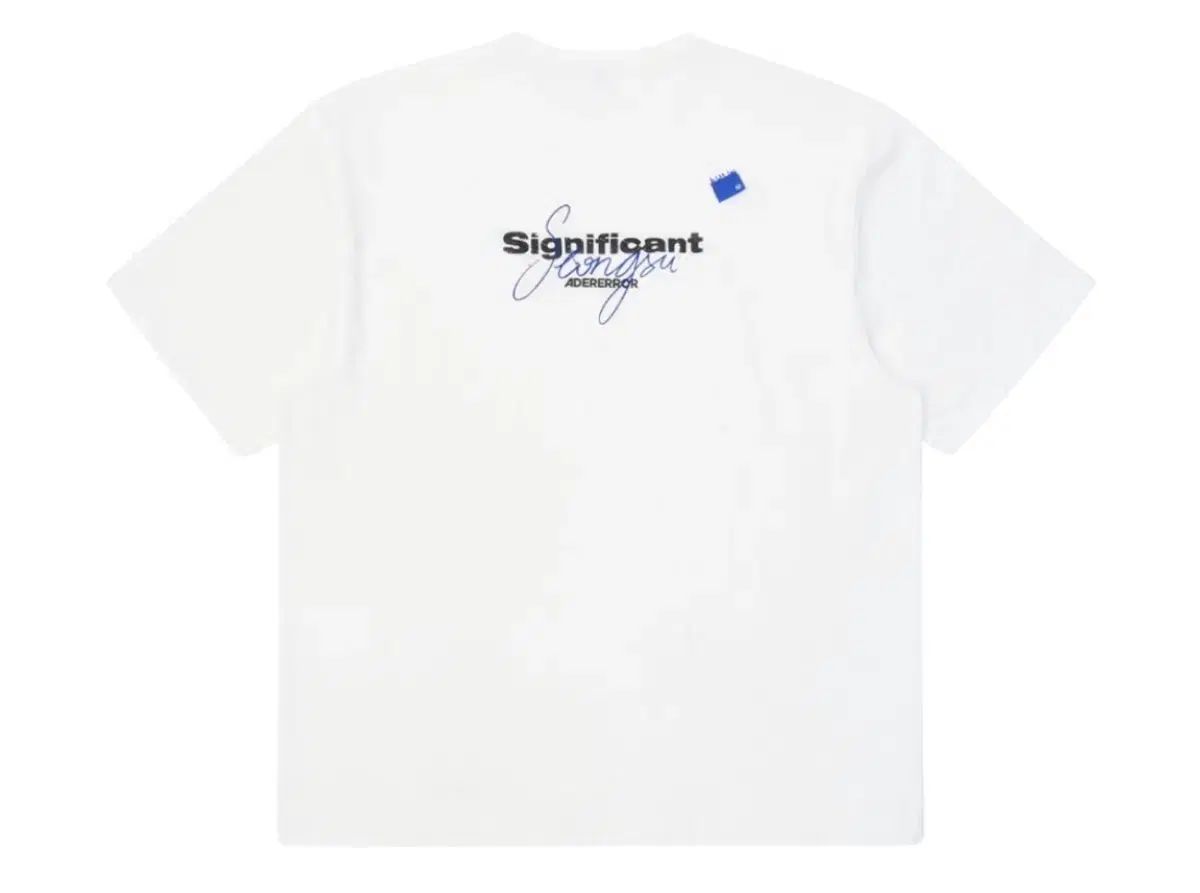 ADER ERROR SIGNIFICANT 聖水 限定 Tシャツ 01 白 L XL - メルカリ