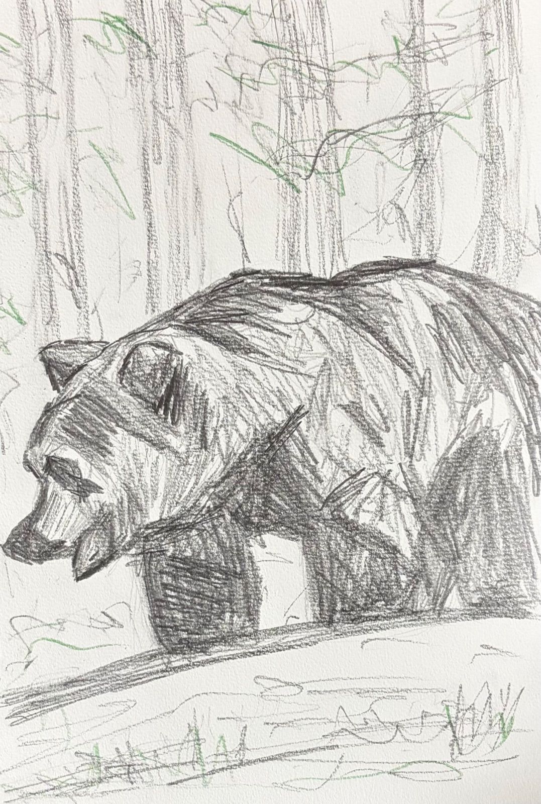 Drawing #022 – Bear