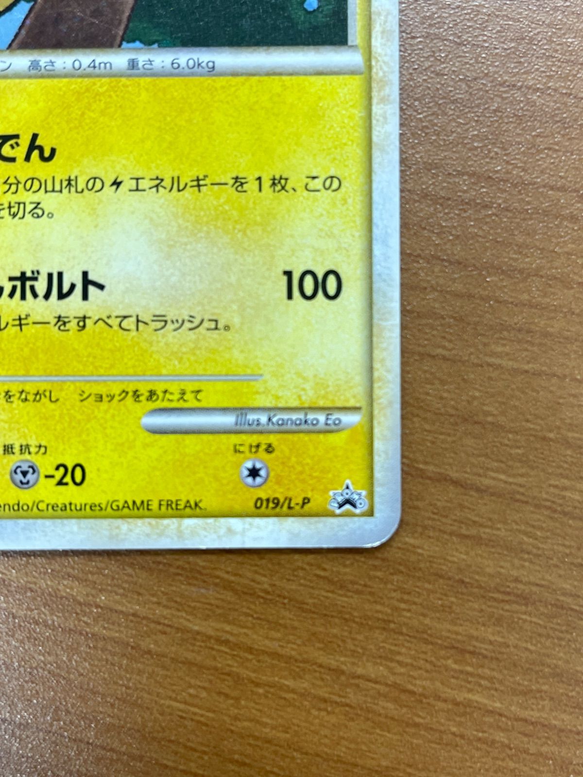 ピカチュウ プロモ 019/L-P ポケモンだいすきクラブ PUROMO ポケモン 