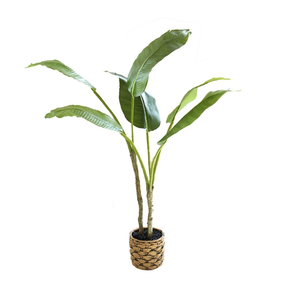 【特価商品】qinhome人工観葉植物 大型サイズ 光触媒 熱帯観葉樹 旅人木 モンステラフェイクグリーン フェイク 高さ64CM 簡単世話いらず 陶器鉢 鉢は取り外し不可 インテリア 屋内 リビング オフィス 空気清浄 (旅人木)