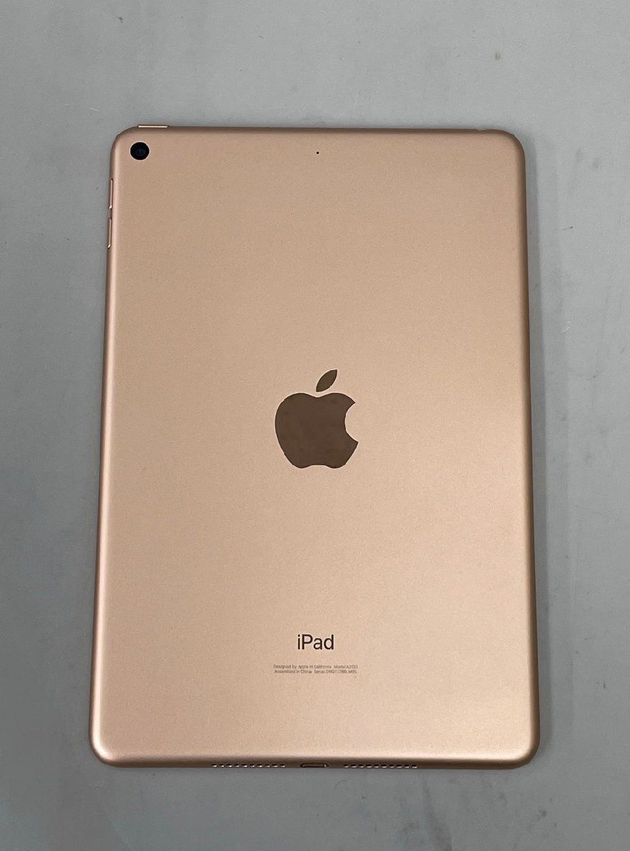 iPad mini 第5世代 64GB ゴールド MUQY2J/A 中古 Bランク - メルカリ