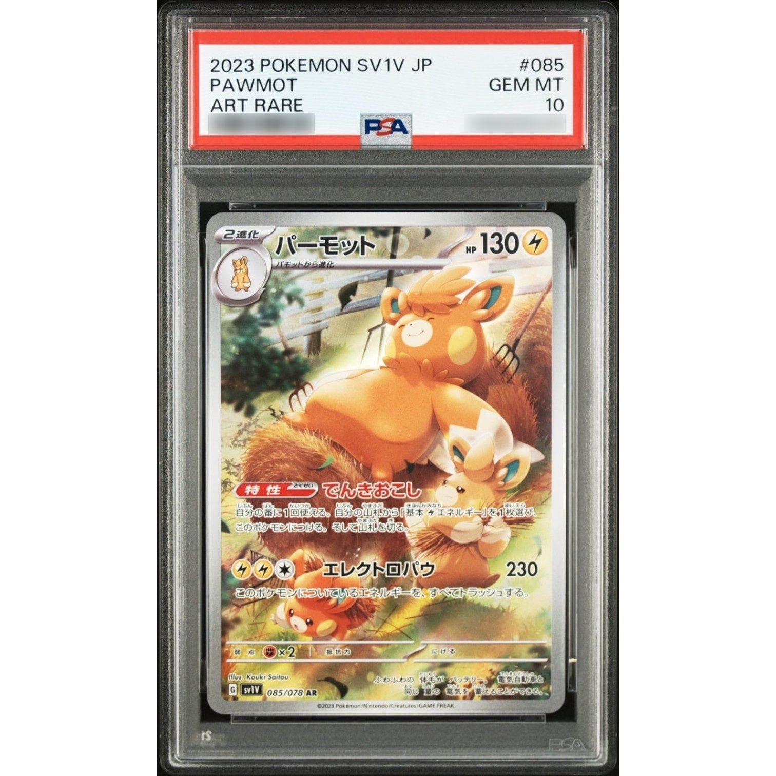 PSA10鑑定済〕パーモット【AR】{085/078} - メルカリ
