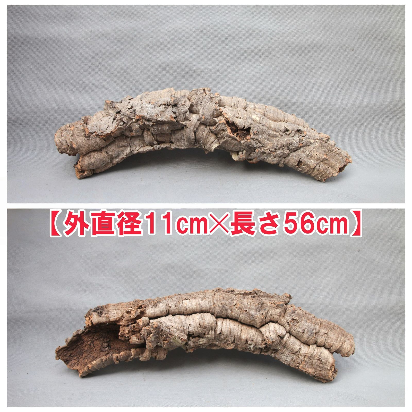 W707 ポルトガル産 キャノンコルク コルク樹皮 コルク板　バージンコルク 高品質　チランジア　ビカクシダ　着生ラン　両生類　爬虫類　コウモリラン　板付　エアープランツ 鳥用おもちゃ 植物用　水槽用　壁飾り　天然素材　DIY　大人気