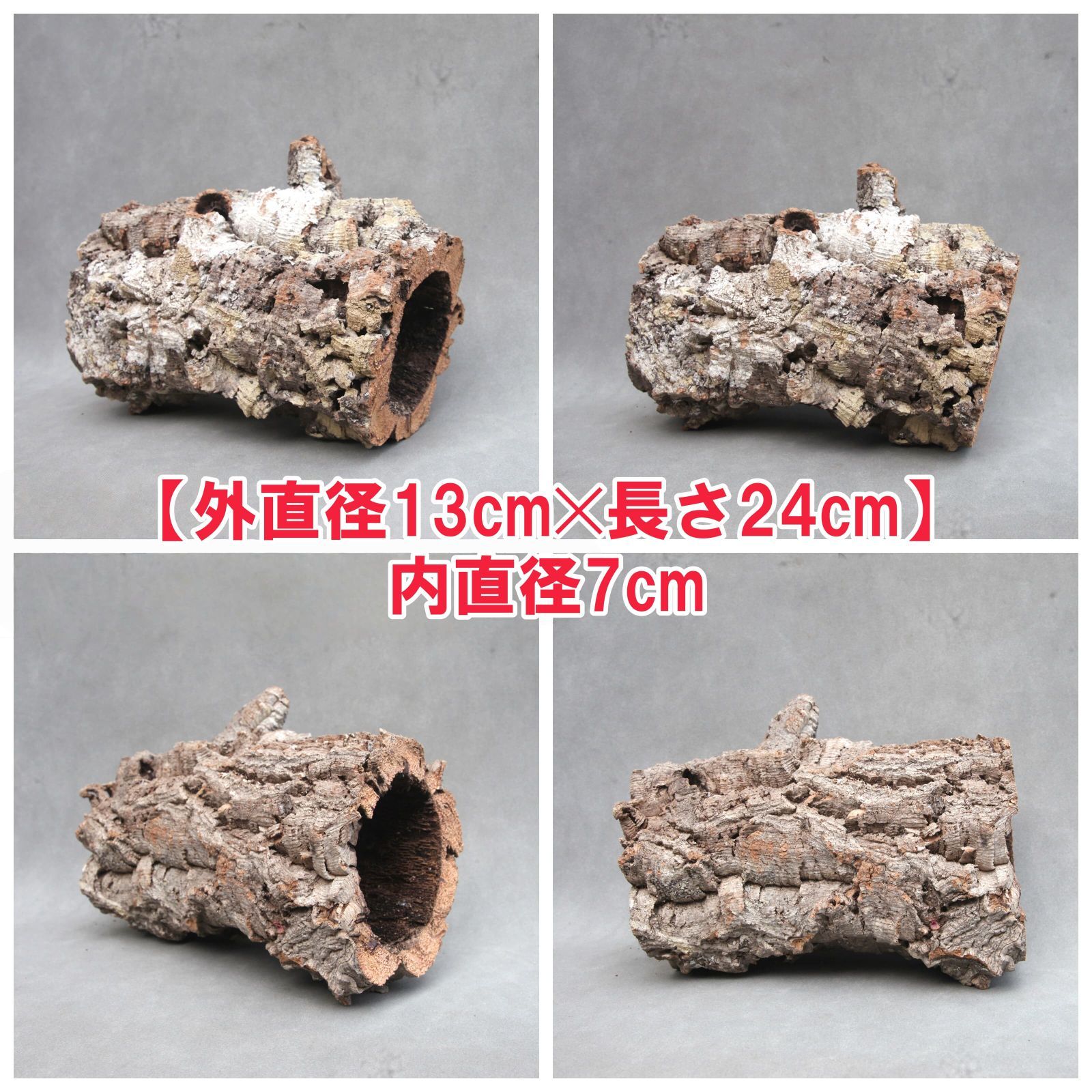 ポルトガル産コルク樹皮HPＬ-2-28-154 ポルトガル産コルク樹皮HP.P-0422-2 M - メルカリ