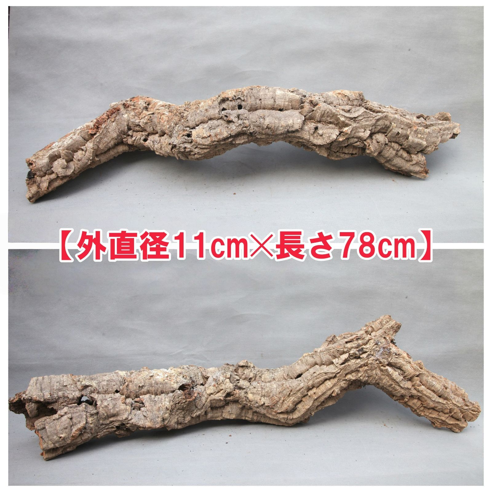 最新情報 c7010 バージンコルク キャノンコルク ポルトガル産 洗浄済