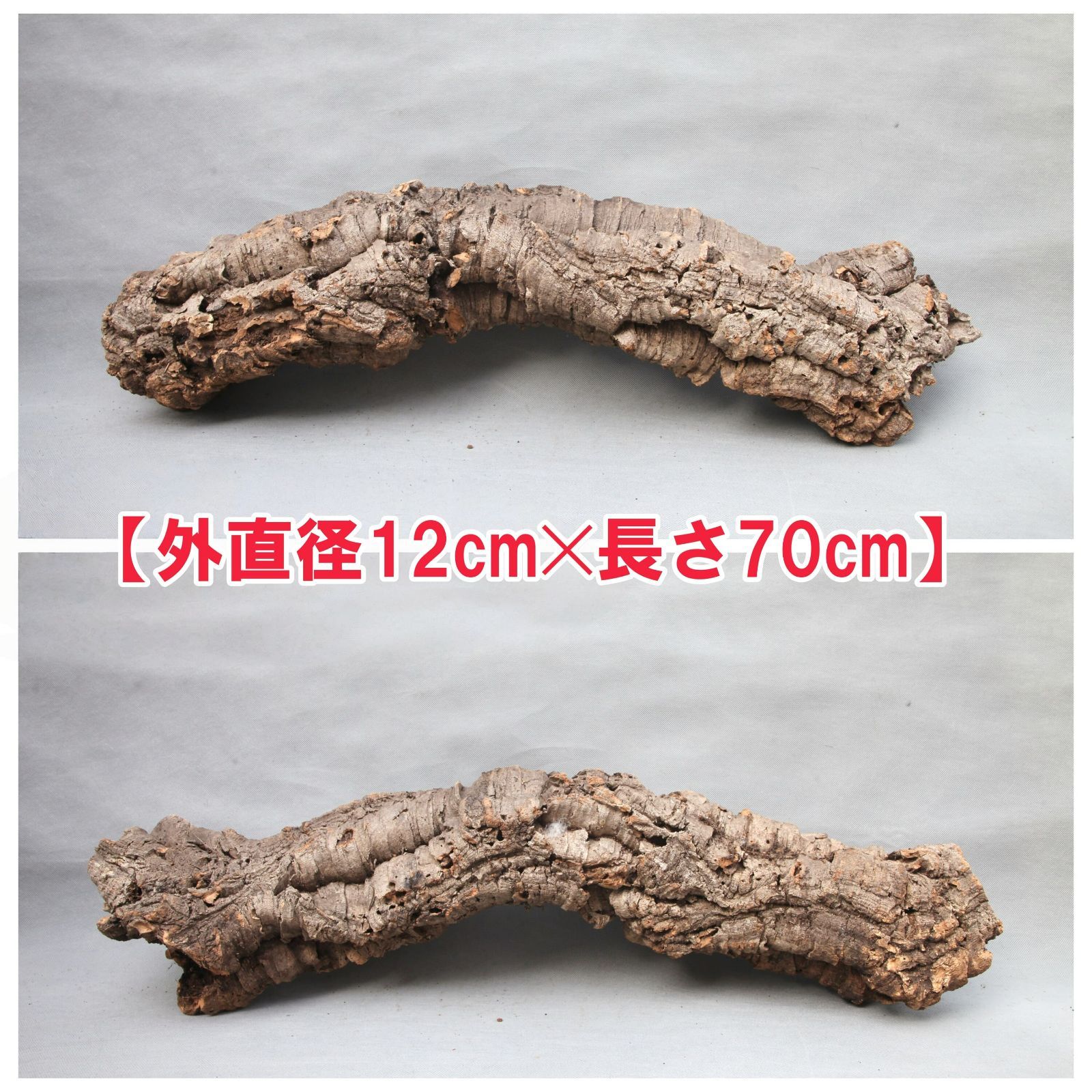 W710 ポルトガル産 キャノンコルク コルク樹皮 コルク板　バージンコルク 高品質　チランジア　ビカクシダ　着生ラン　両生類　爬虫類　コウモリラン　板付　エアープランツ 鳥用おもちゃ 植物用　水槽用　壁飾り　天然素材　DIY　大人気